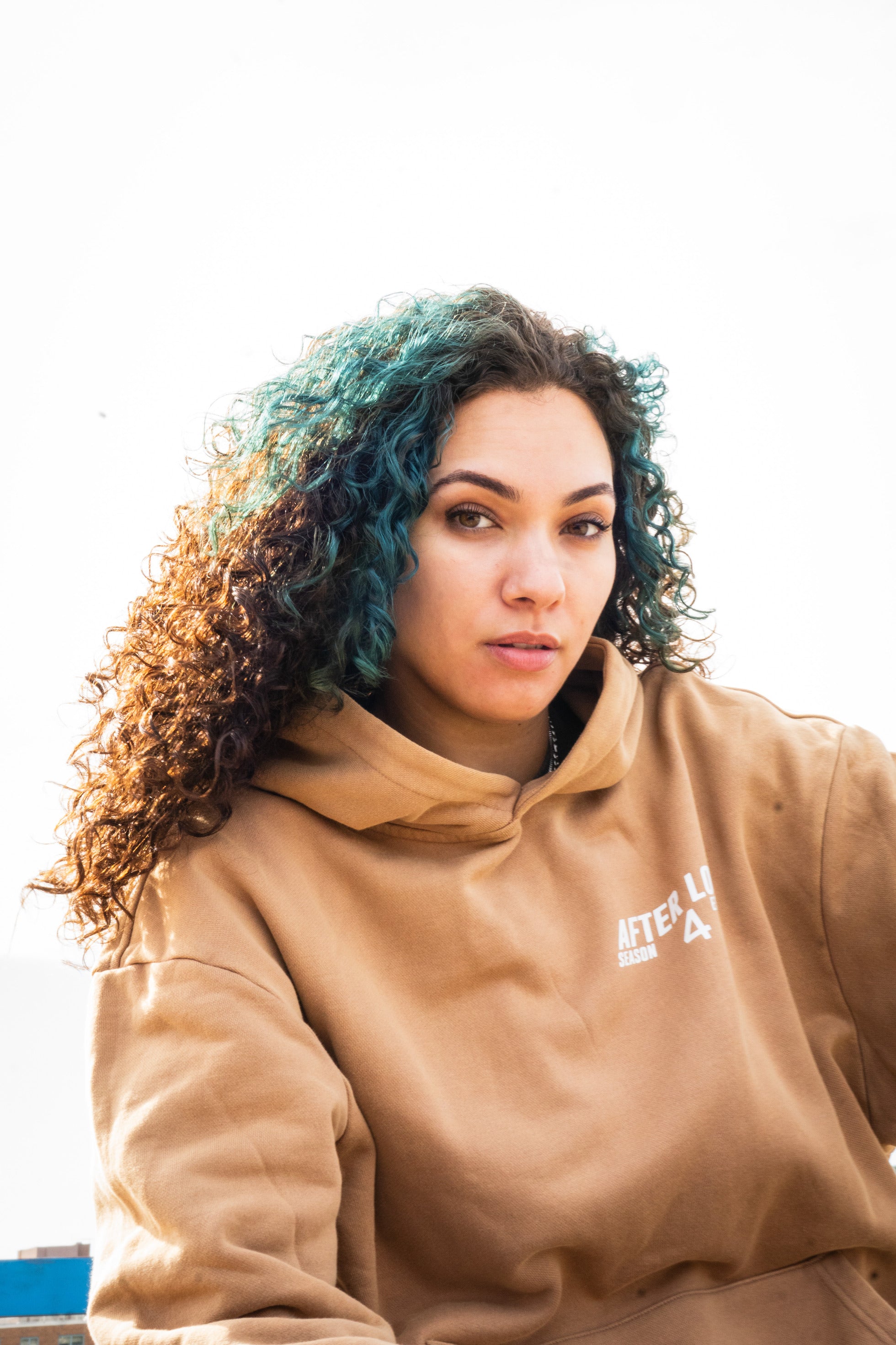 "Season 4" Heavyweight Hoodie